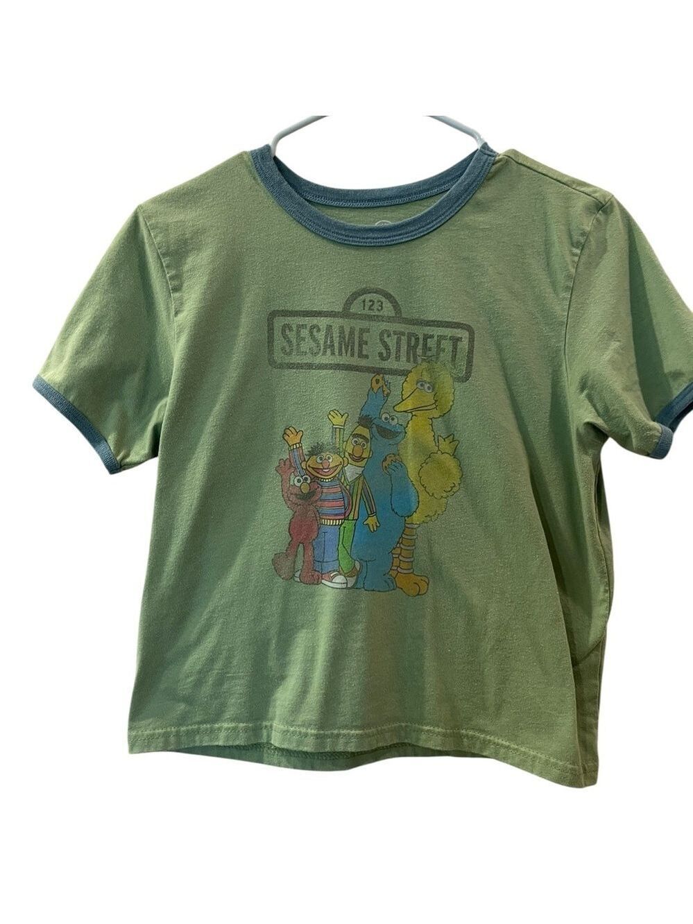 Sesame Street Women’s Crop T Shirt Green With Characters Size: Large